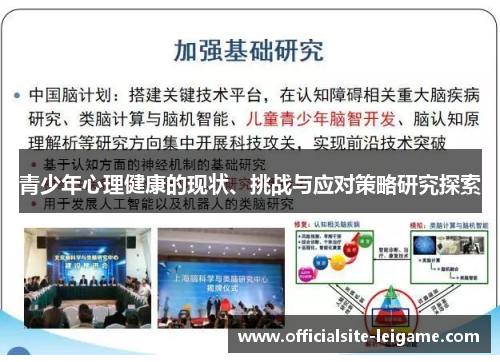 青少年心理健康的现状、挑战与应对策略研究探索
