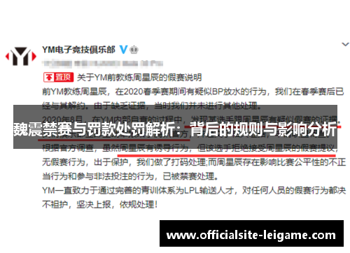 魏震禁赛与罚款处罚解析：背后的规则与影响分析
