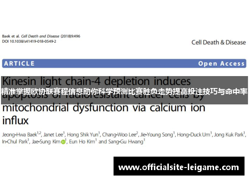 精准掌握欧协联赛程信息助你科学预测比赛胜负走势提高投注技巧与命中率